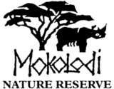 mokolodi